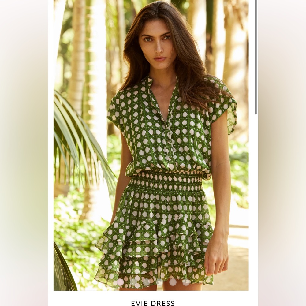 Misa Los Angeles Evie Dress